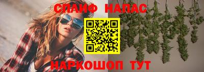 соль ск Можга